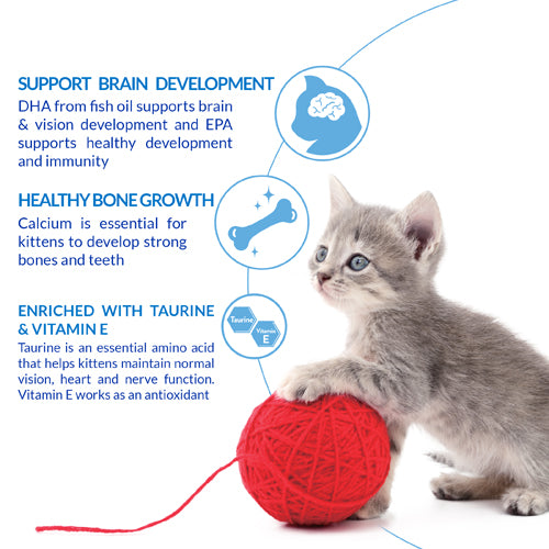Inaba Churu for Kittens Tuna Recipe – official product image