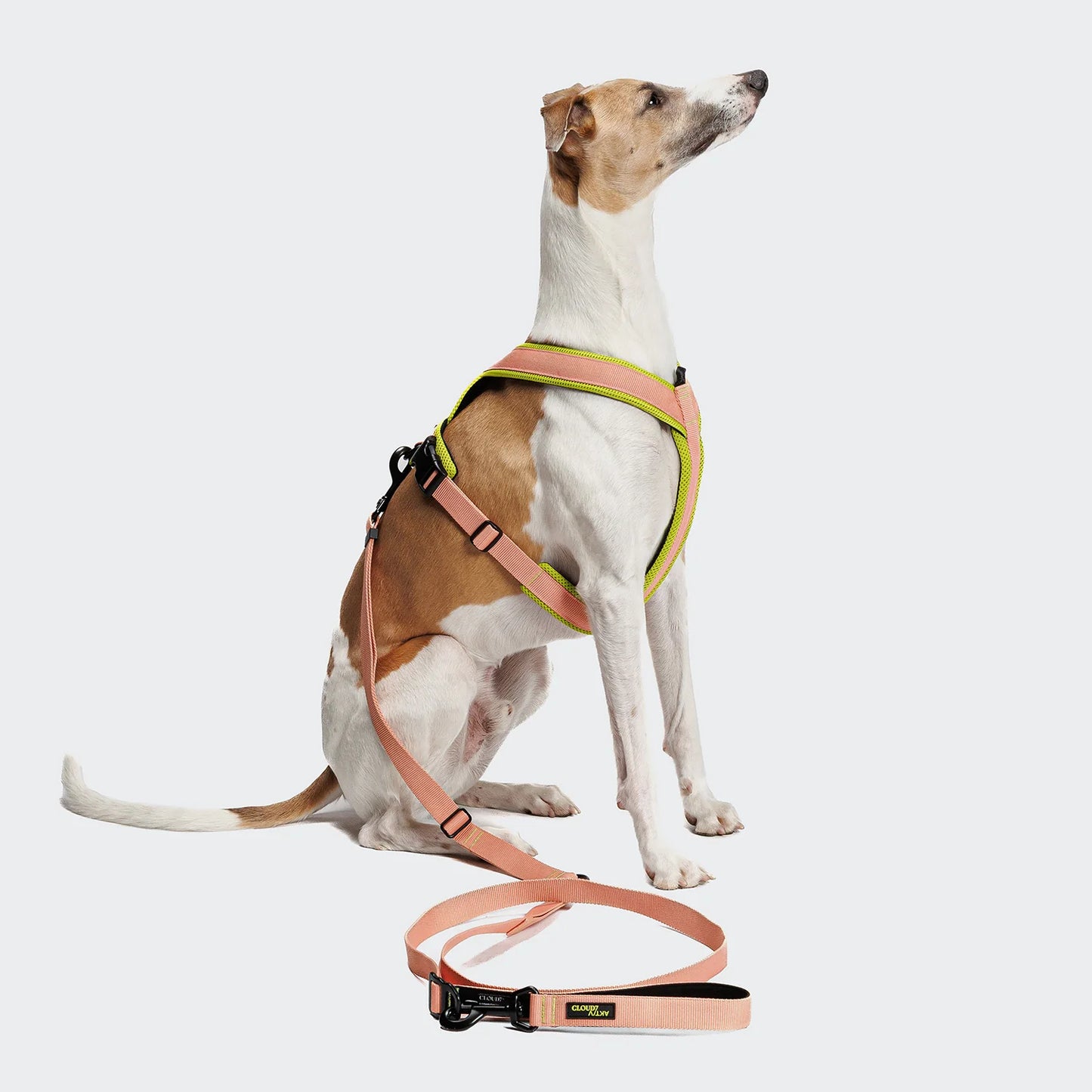 [Presale]L-1 Hands-Free Leash AKTIV Peach