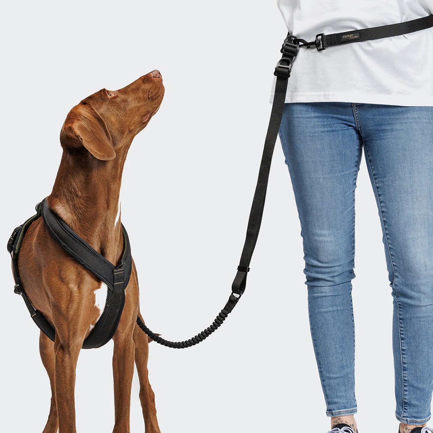 [Presale]L-2 Jogging-Leash AKTIV Black