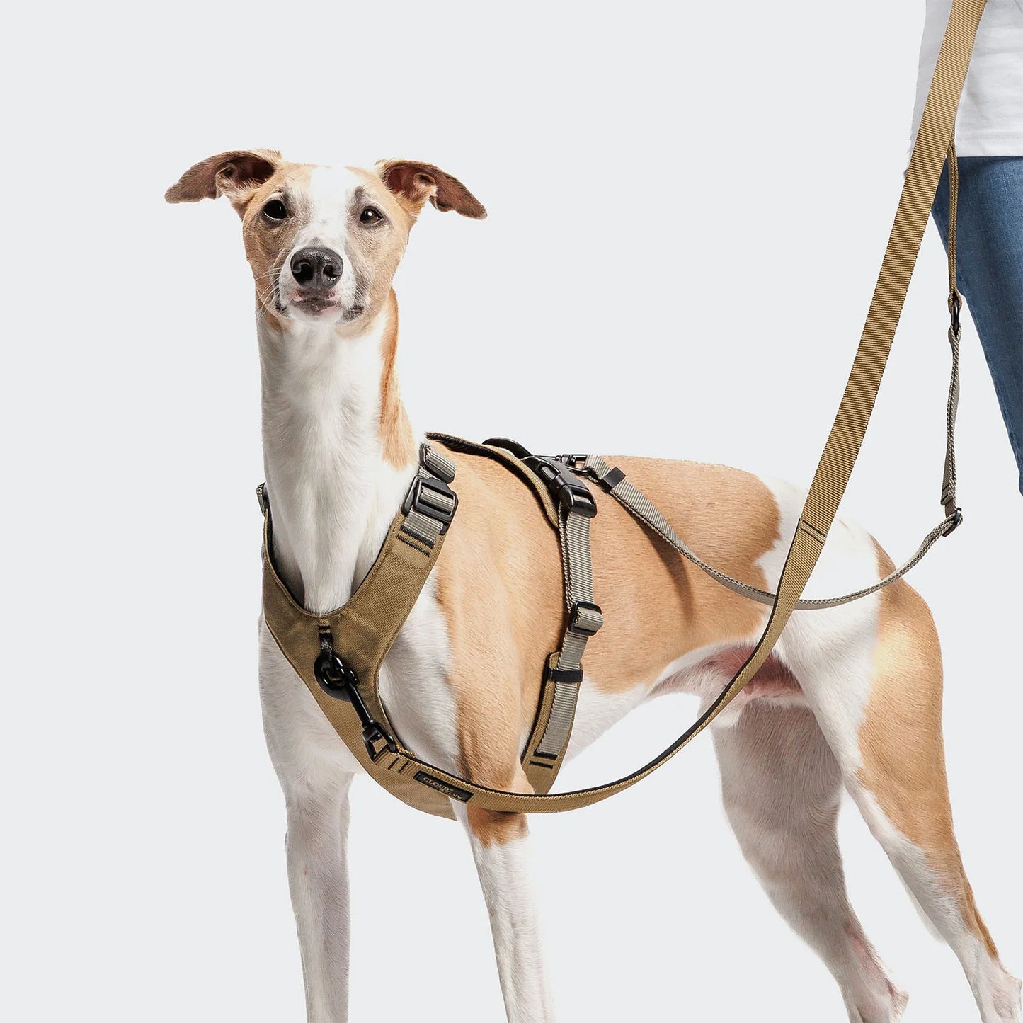 [Presale]L-1 Hands-Free Leash AKTIV Khaki/Grey