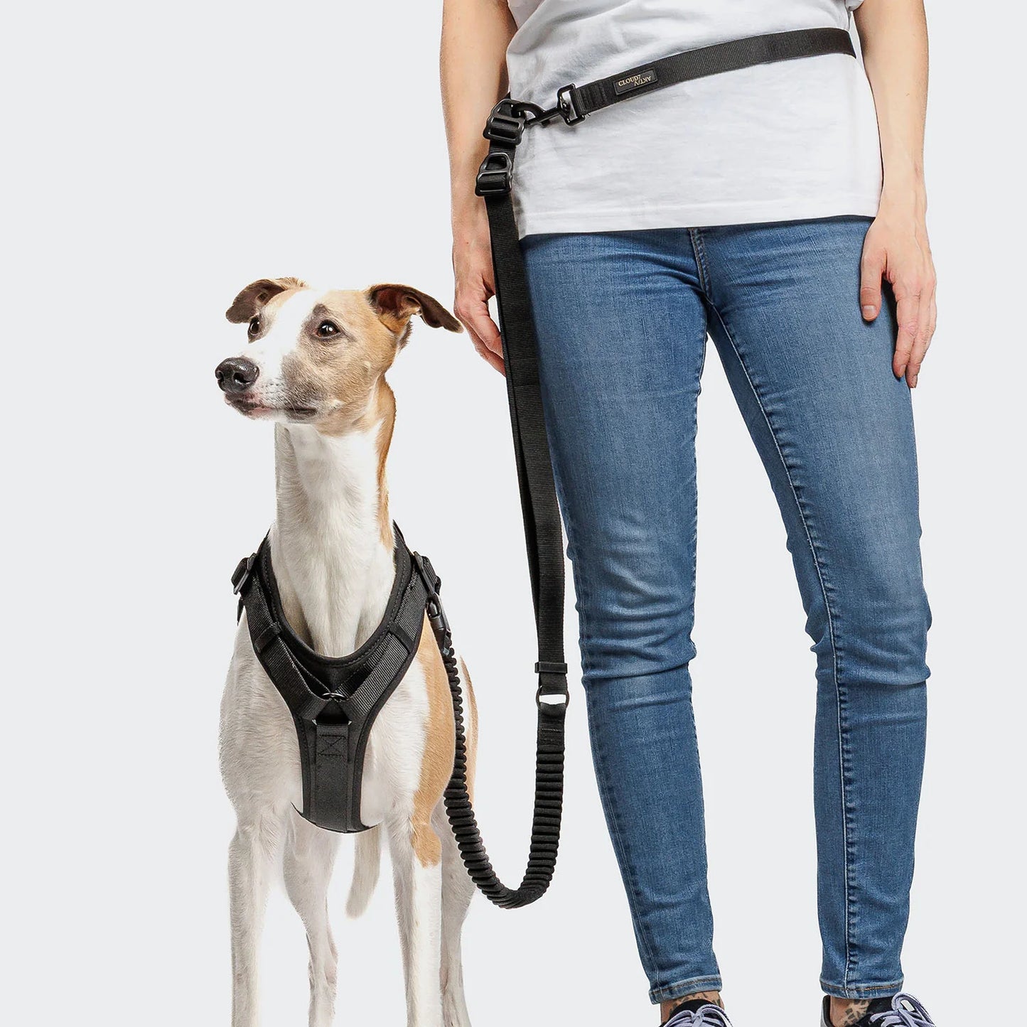 [Presale]Y-3 Harness AKTIV Softshell Black