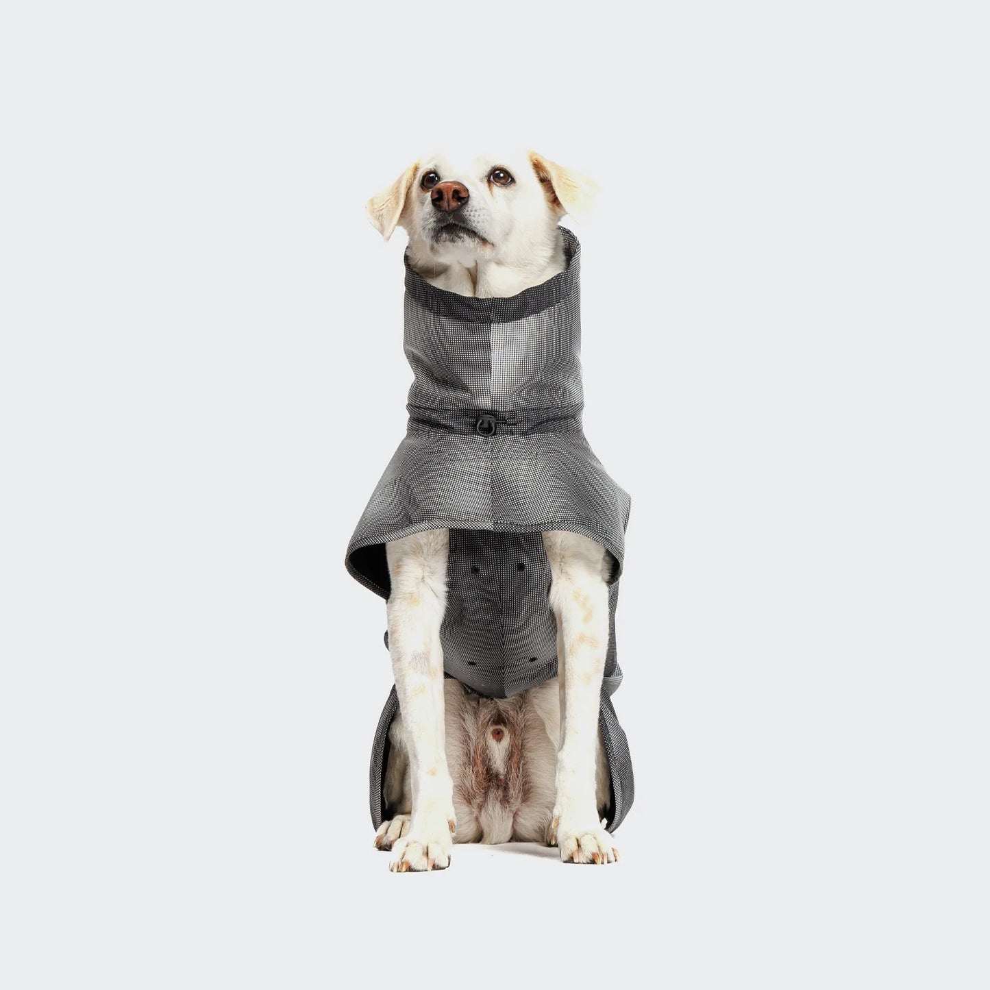 [Presale]Dog Raincoat AKTIV Black