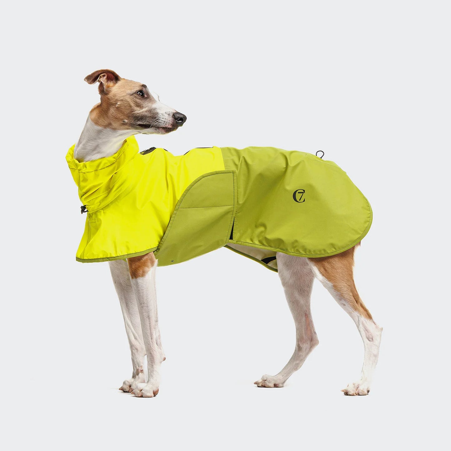 [Presale]Dog Raincoat AKTIV Neon GreenLight Olive