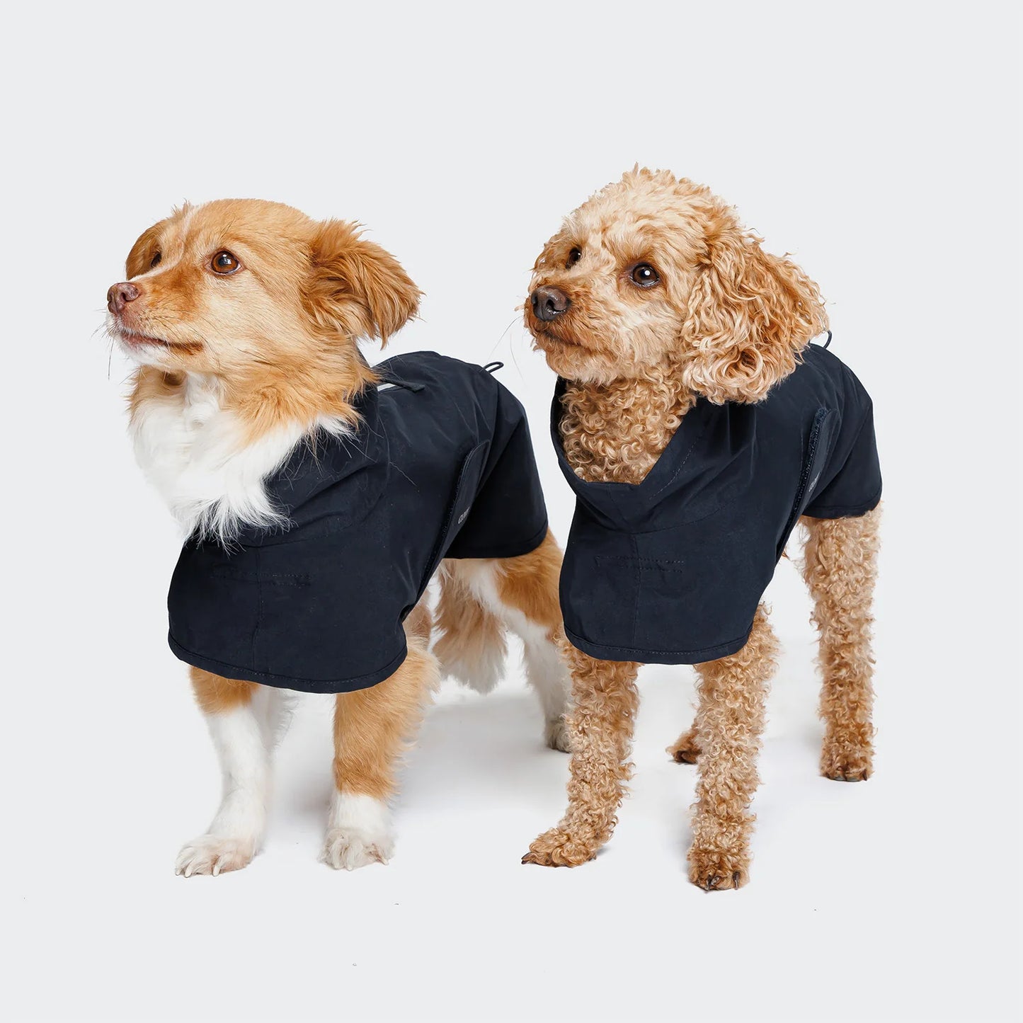 [Presale]Dog Raincoat Helgoland Navy