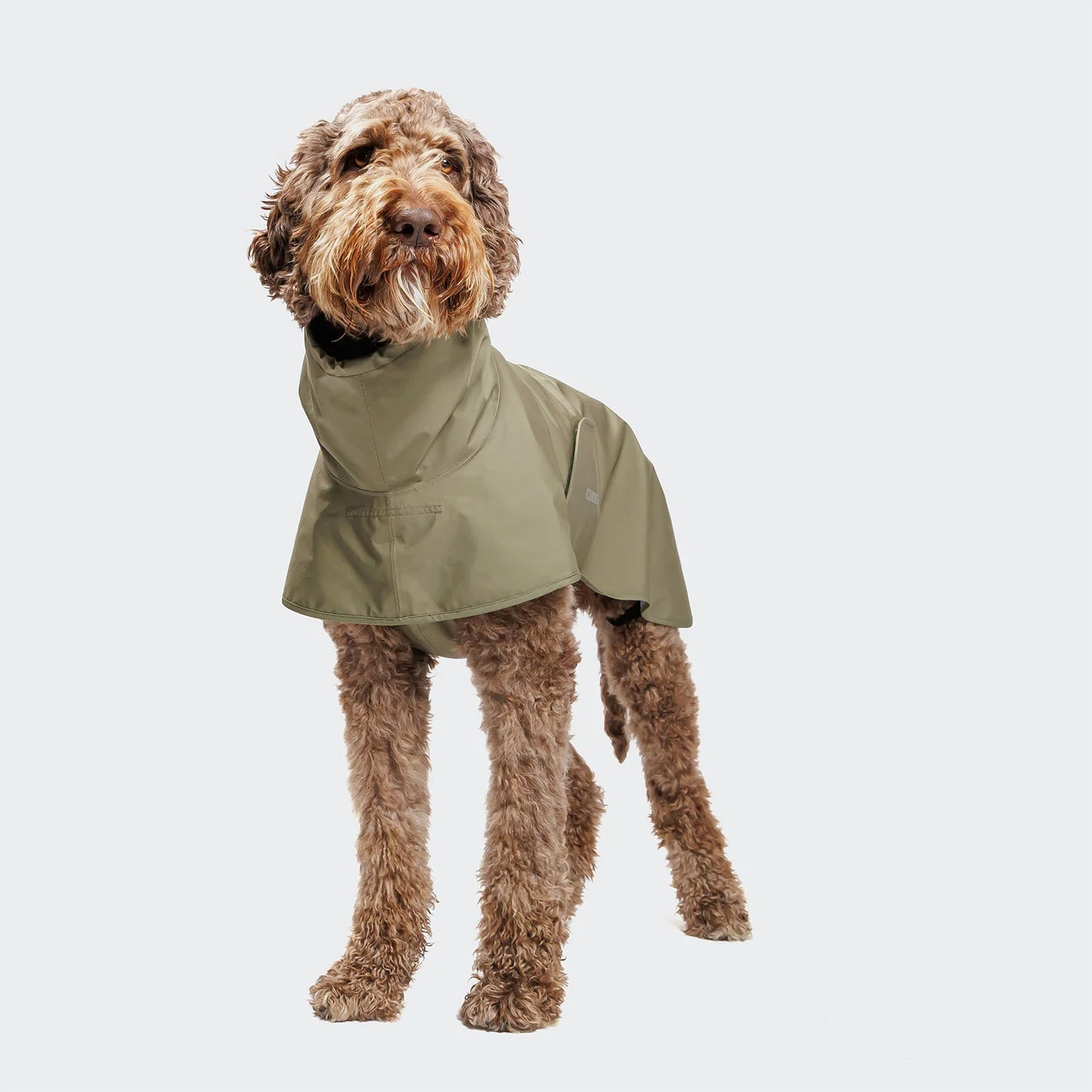 [Presale]Dog Raincoat Helgoland Olive