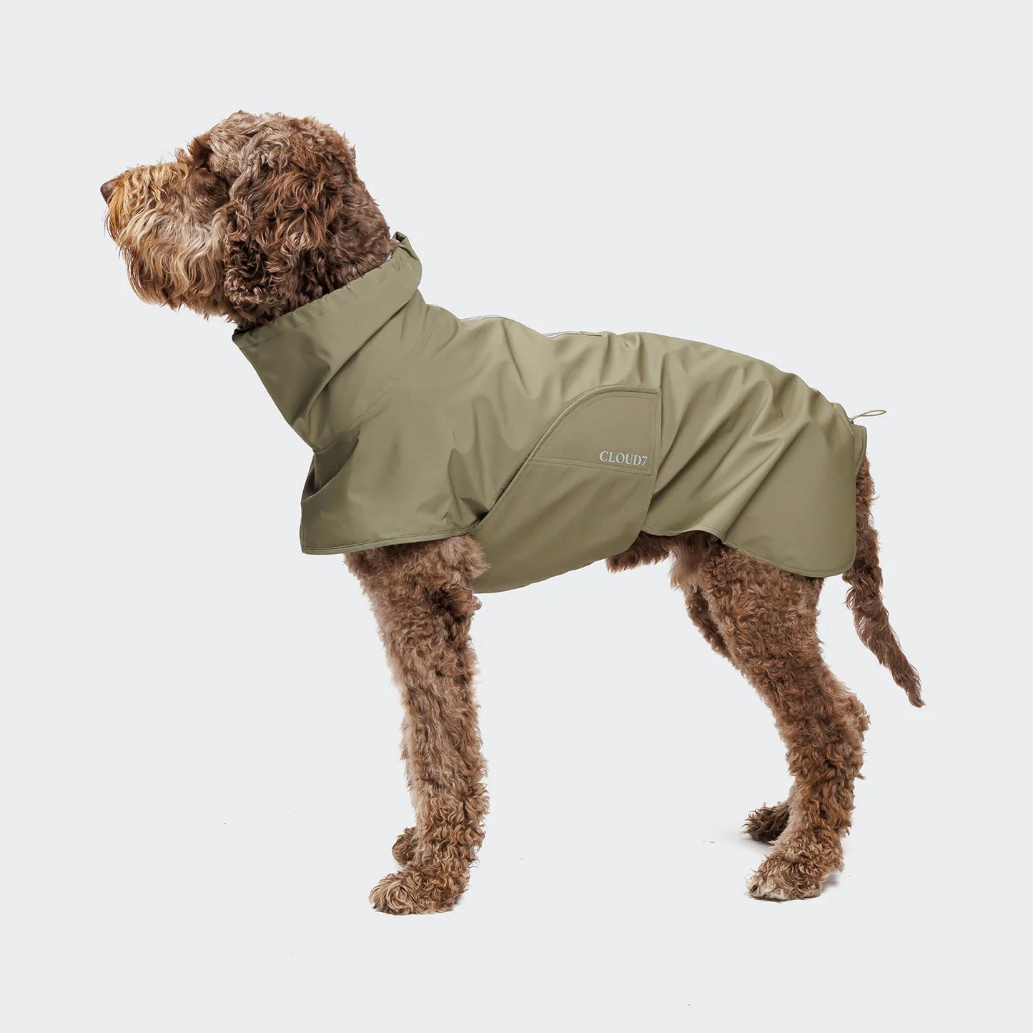 [Presale]Dog Raincoat Helgoland Olive