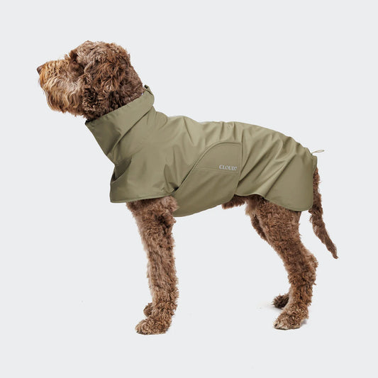 [Presale]Dog Raincoat Helgoland Olive