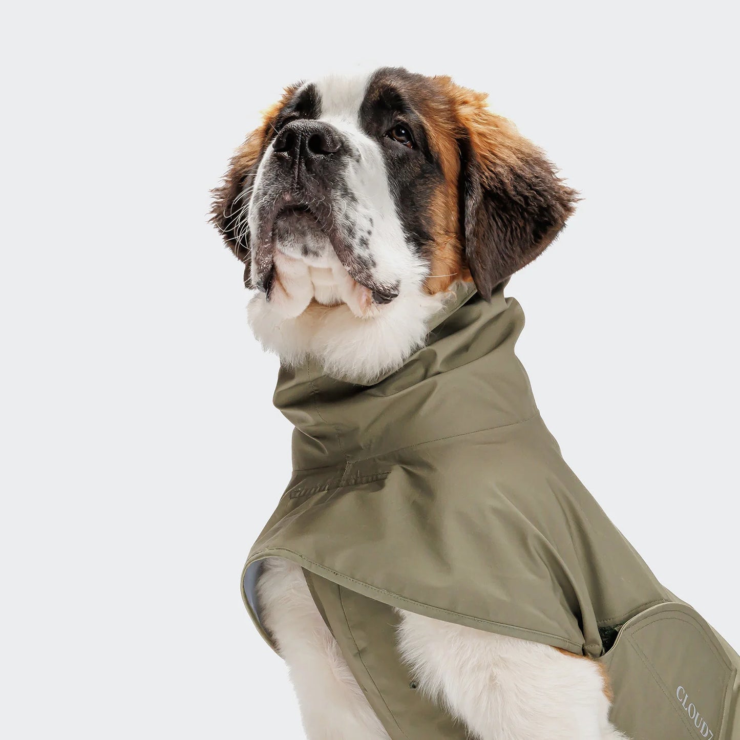 [Presale]Dog Raincoat Helgoland Olive