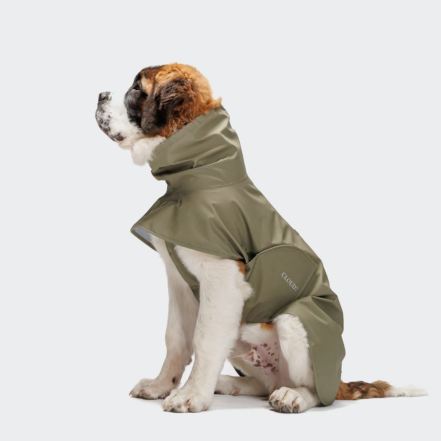[Presale]Dog Raincoat Helgoland Olive