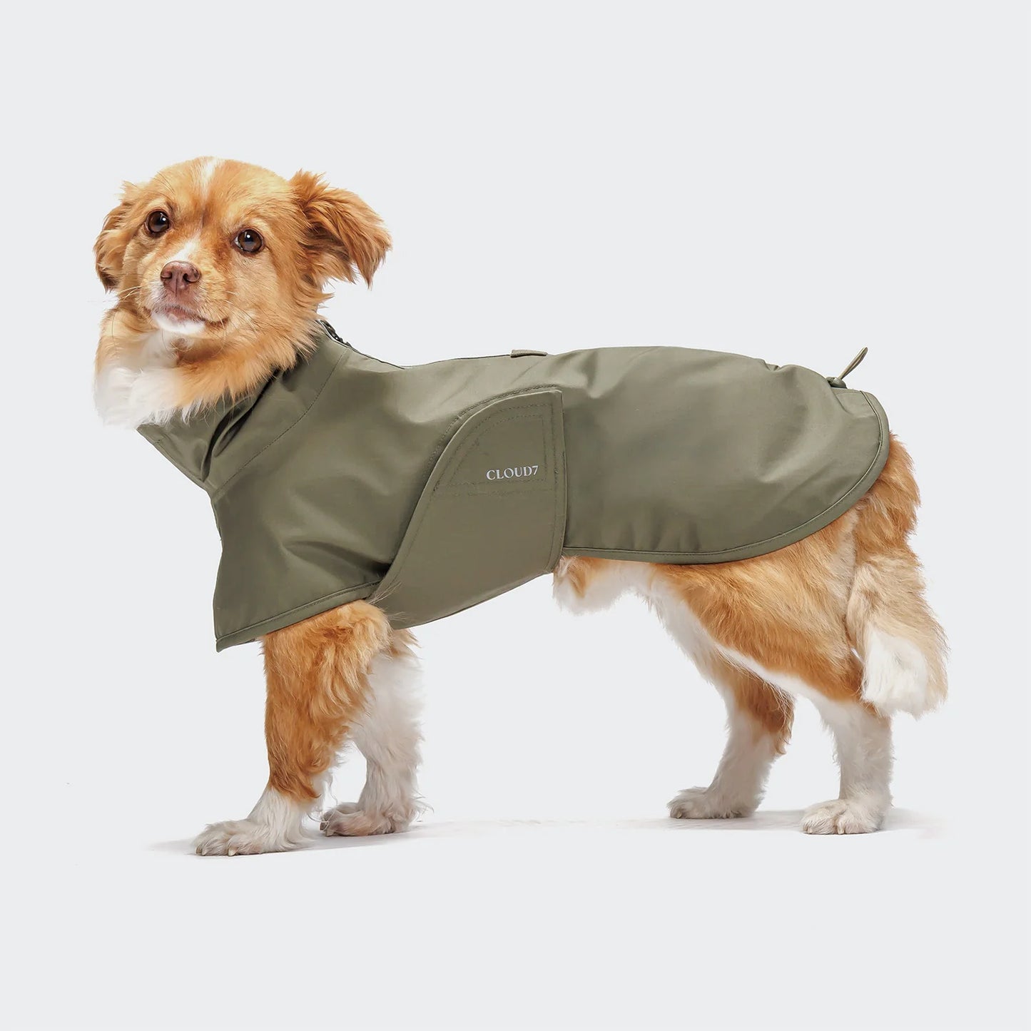 [Presale]Dog Raincoat Helgoland Olive
