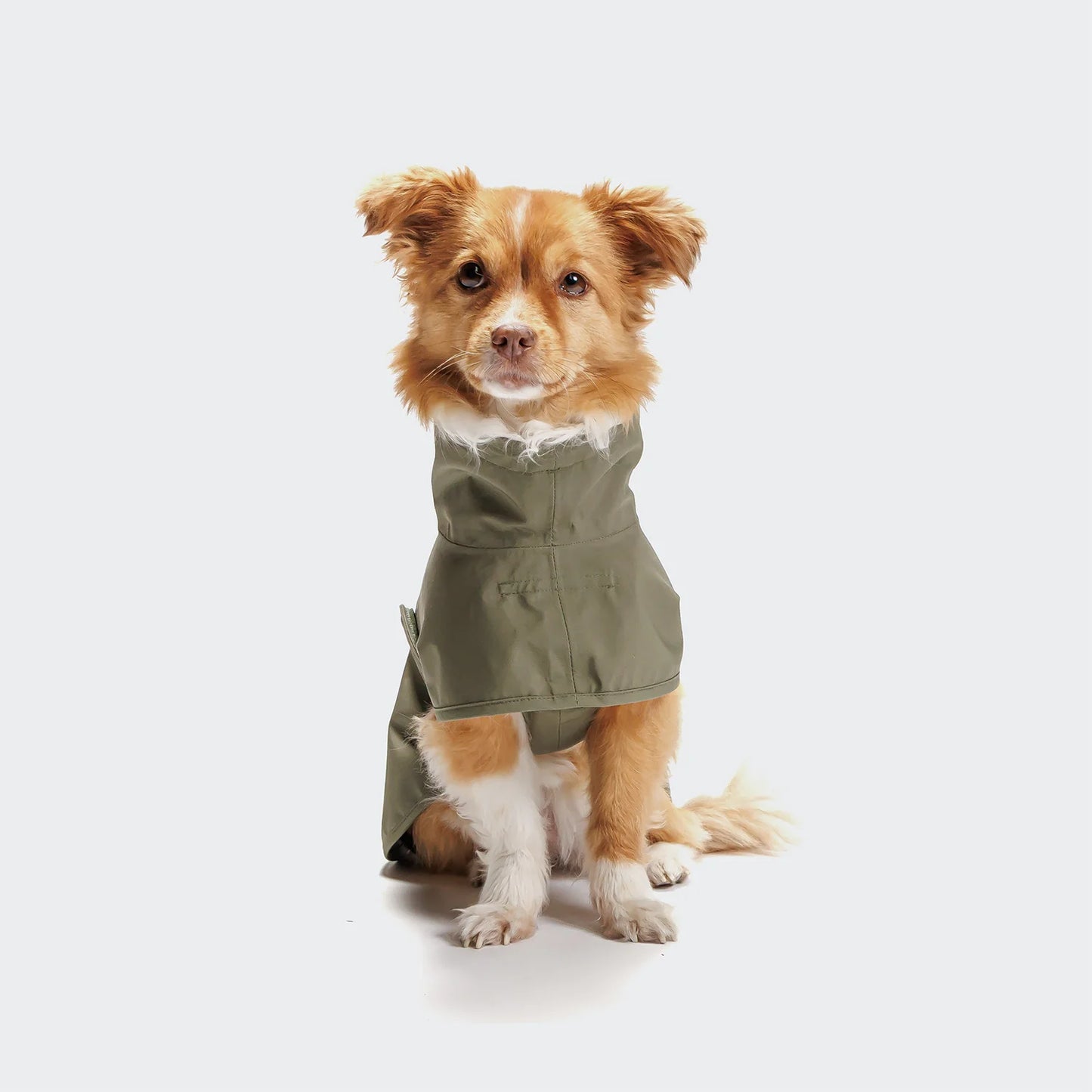 [Presale]Dog Raincoat Helgoland Olive