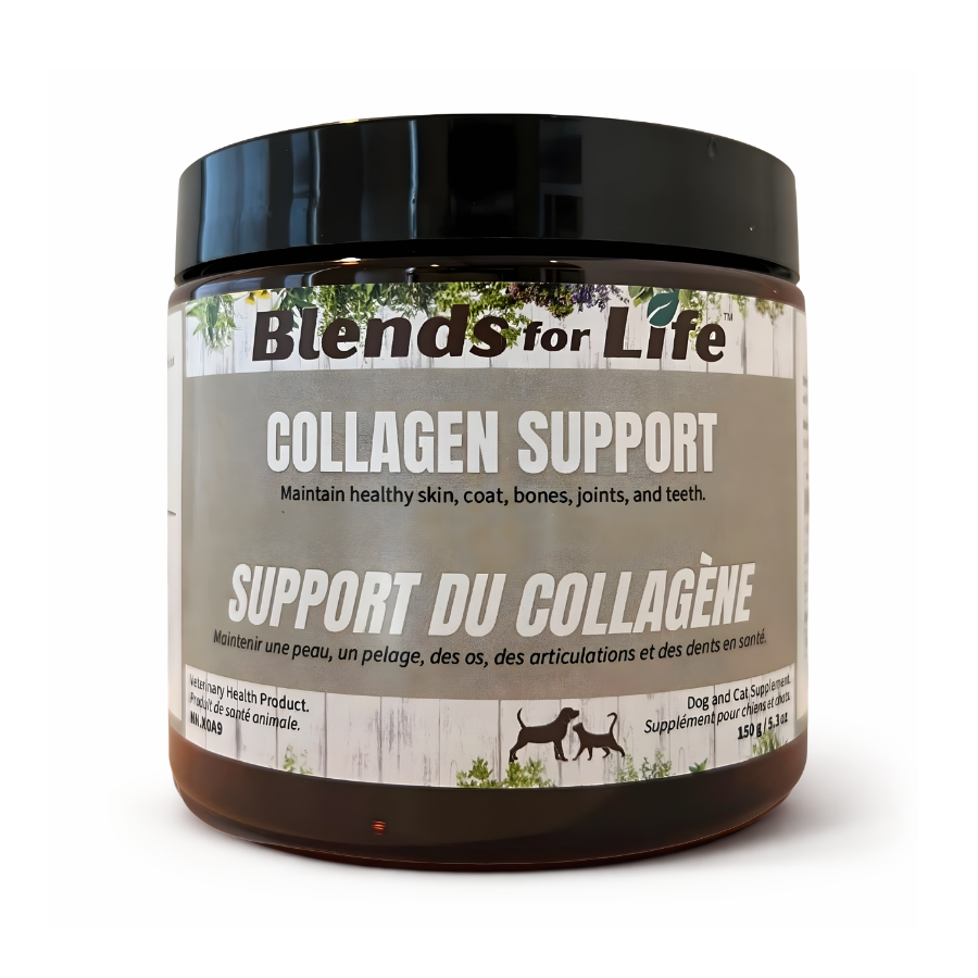 Blends for Life Collagen Support jar