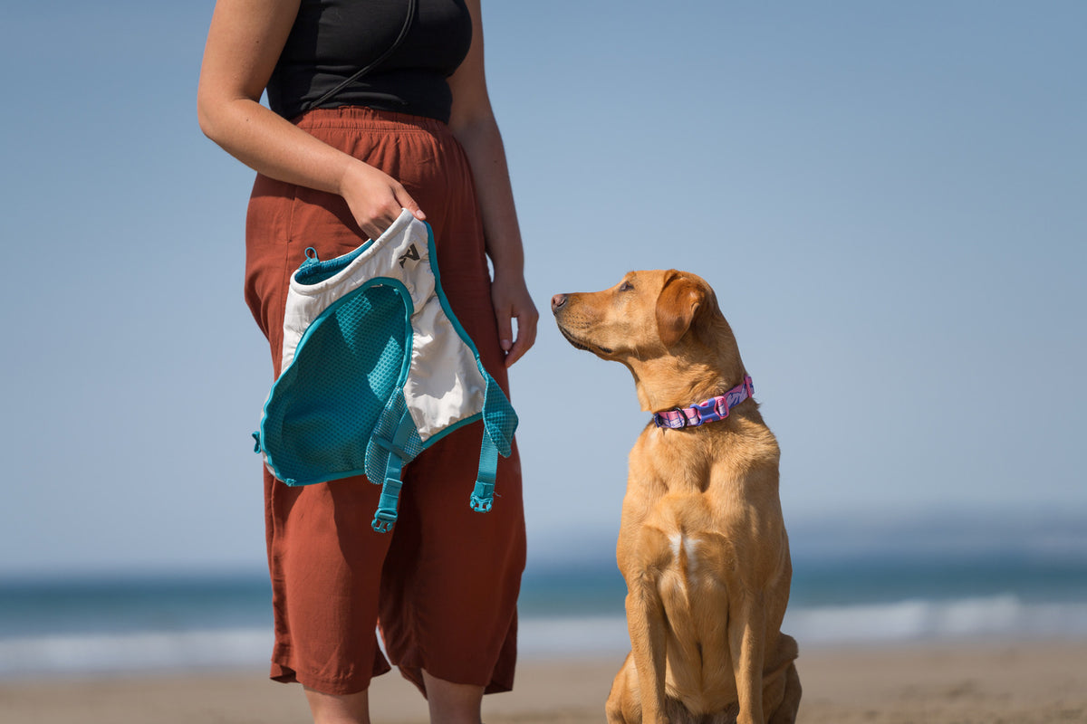 Non-stop dogwear Cooling Vest