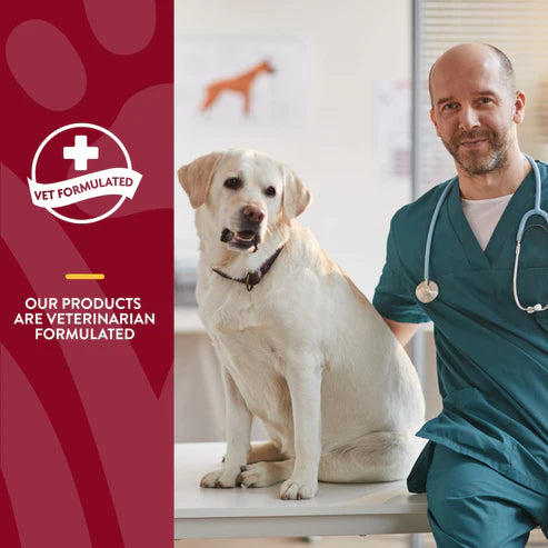 NATURVET Soft Chew Cranberry Relief + Echinacea 60CT