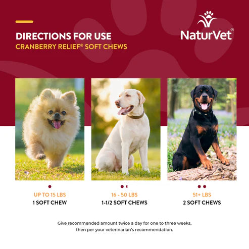 NATURVET Soft Chew Cranberry Relief + Echinacea 60CT
