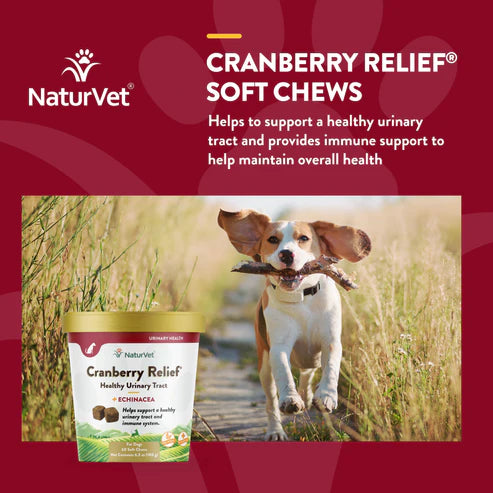 NATURVET Soft Chew Cranberry Relief + Echinacea 60CT