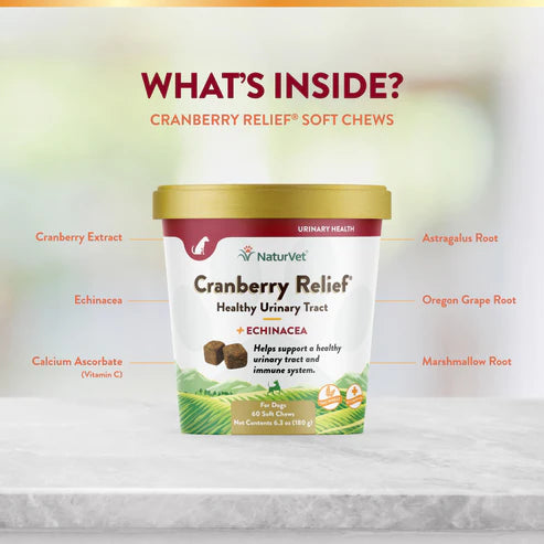 NATURVET Soft Chew Cranberry Relief + Echinacea 60CT