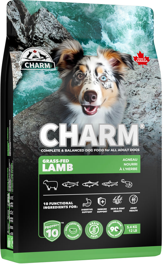 CHARM Grass fed lamb dog