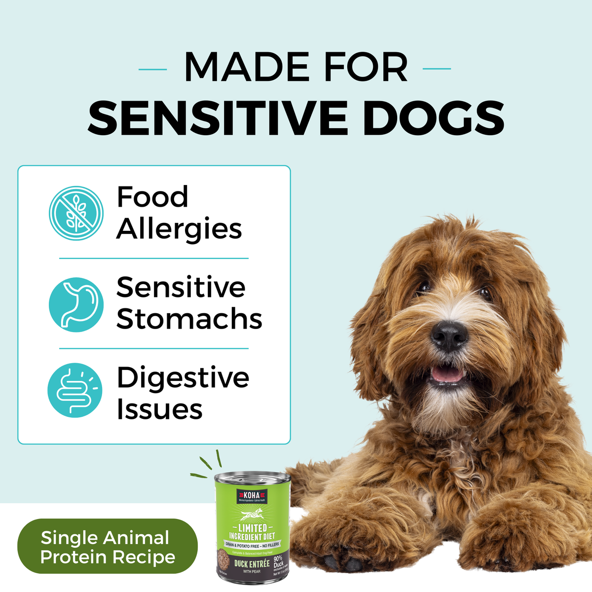 Koha Duck Entree with Pear Wet Dog Food – 13 oz