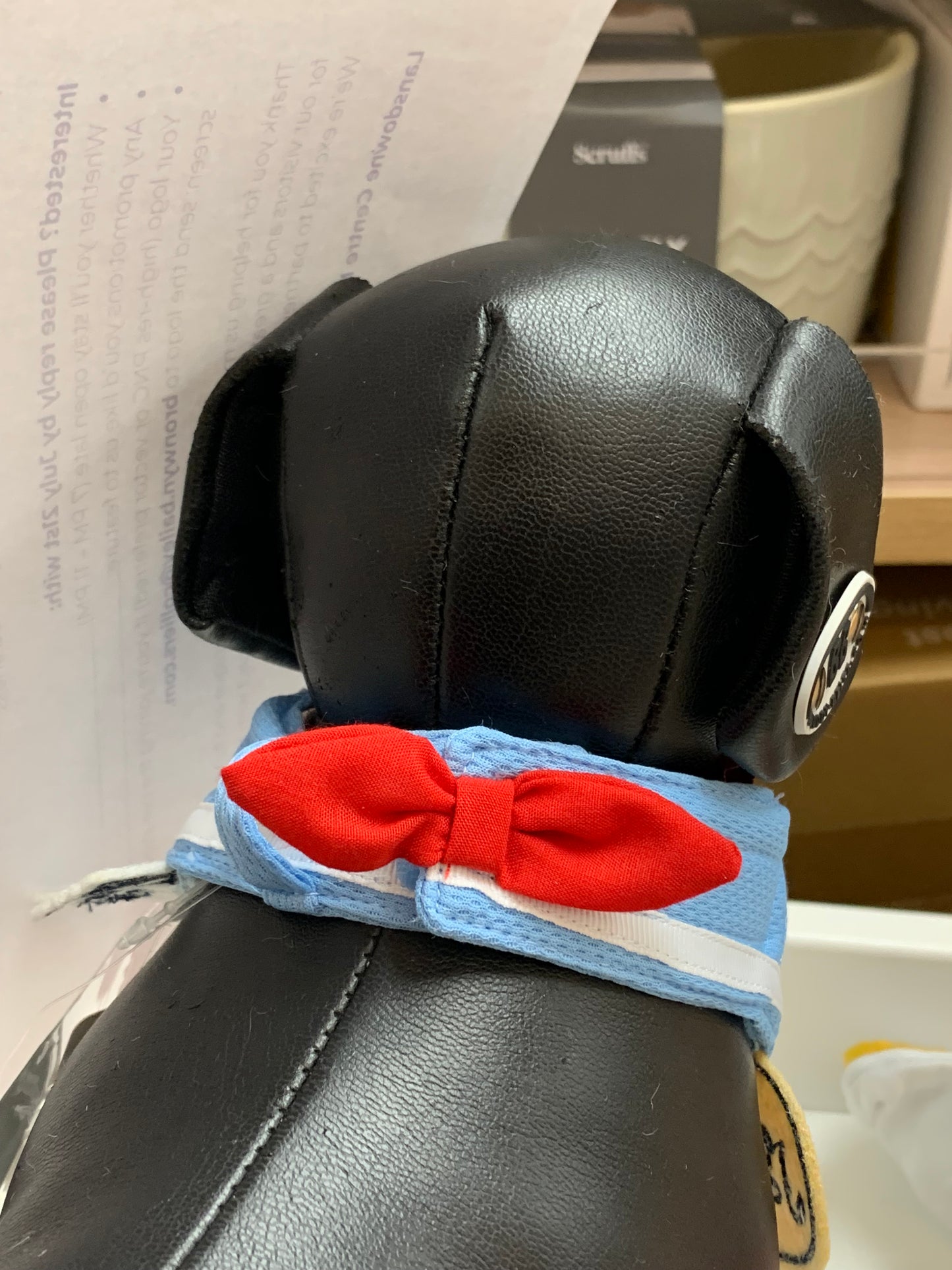 Pet Paradise cooling bandanna Blue snoopy