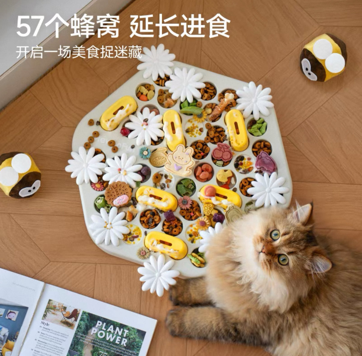 Pet slow feeder