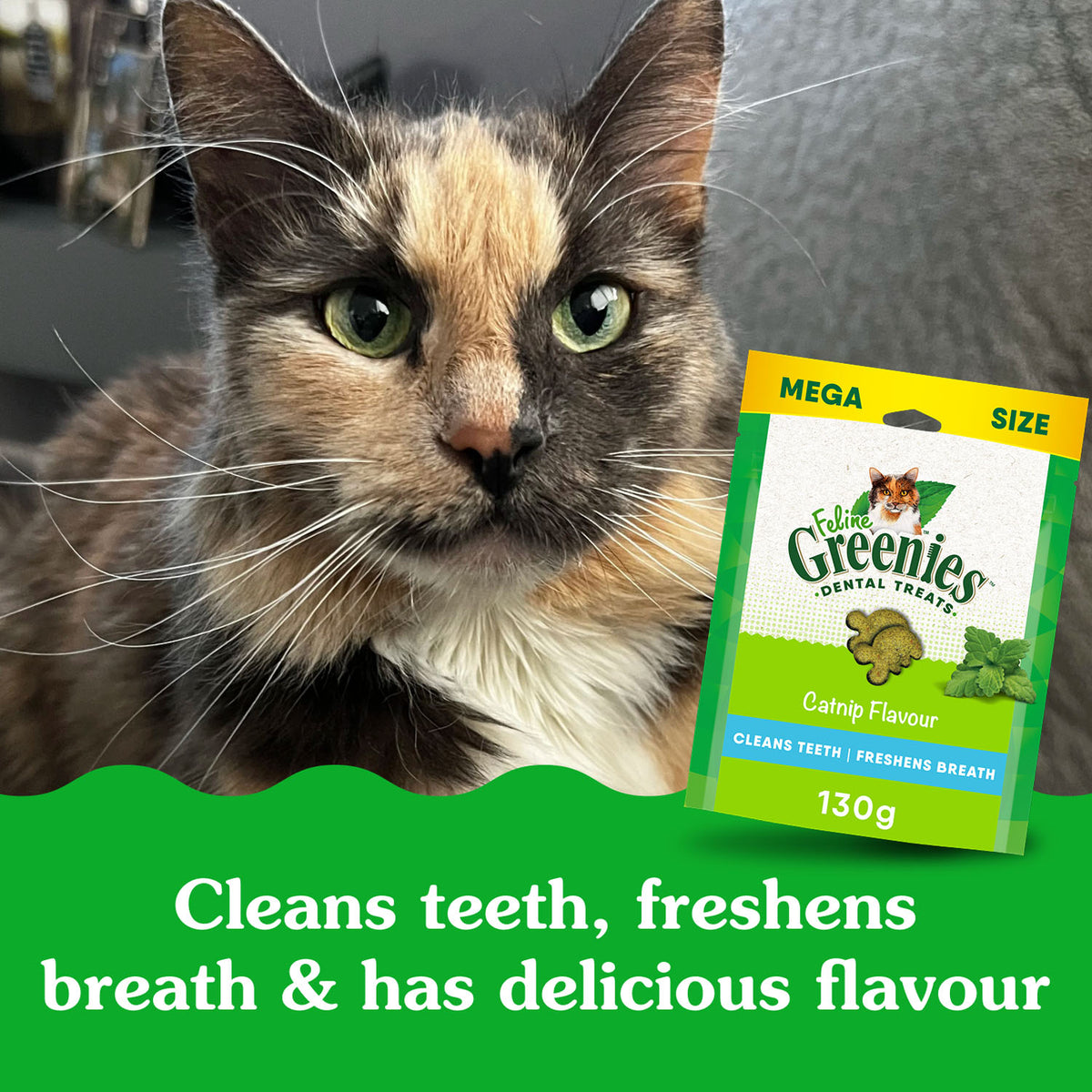 Feline Greenies Adult Dental Cat Treats, Catnip Flavour – 130 g (4.6 oz)