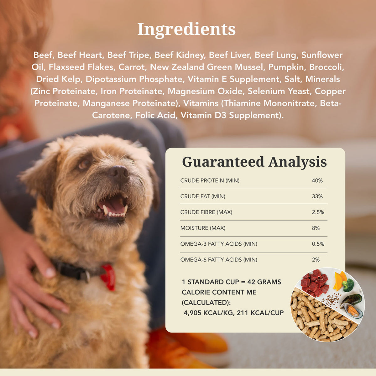 K9 Natural Freeze-Dried Beef Dog Food – 5 oz