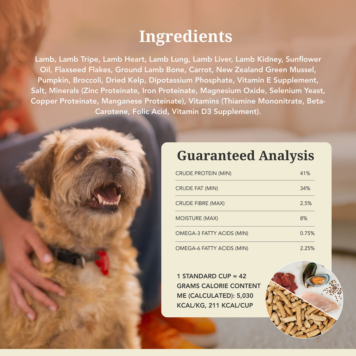 K9 Natural Freeze-Dried Lamb Dog Food – 5 oz