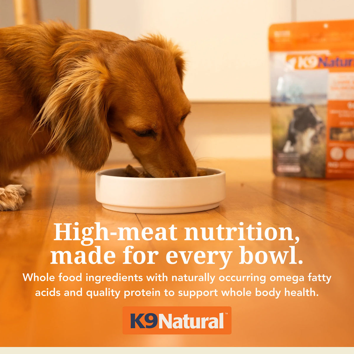 K9 Natural Lamb & King Salmon Feast Freeze-Dried Dog Food – 100 g