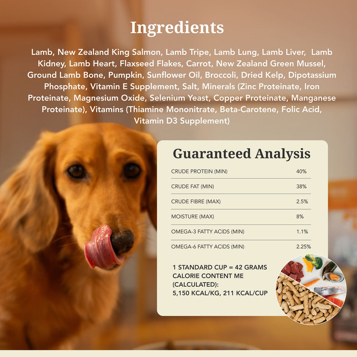 K9 Natural Lamb & King Salmon Feast Freeze-Dried Dog Food – 100 g
