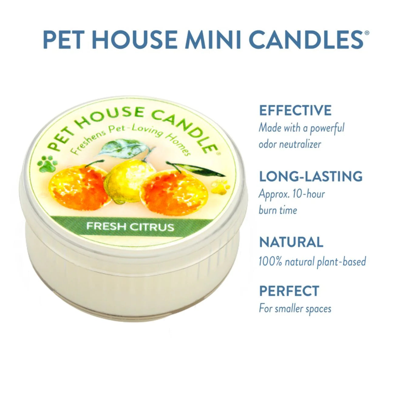 Pet House Candle