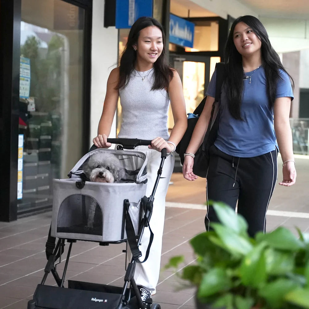 Ibiyaya® Essential – Travois Tri-fold Pet Travel System XL, Pet Stroller with Detachable Carrier