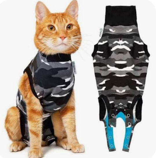 Recovery Suit Cat