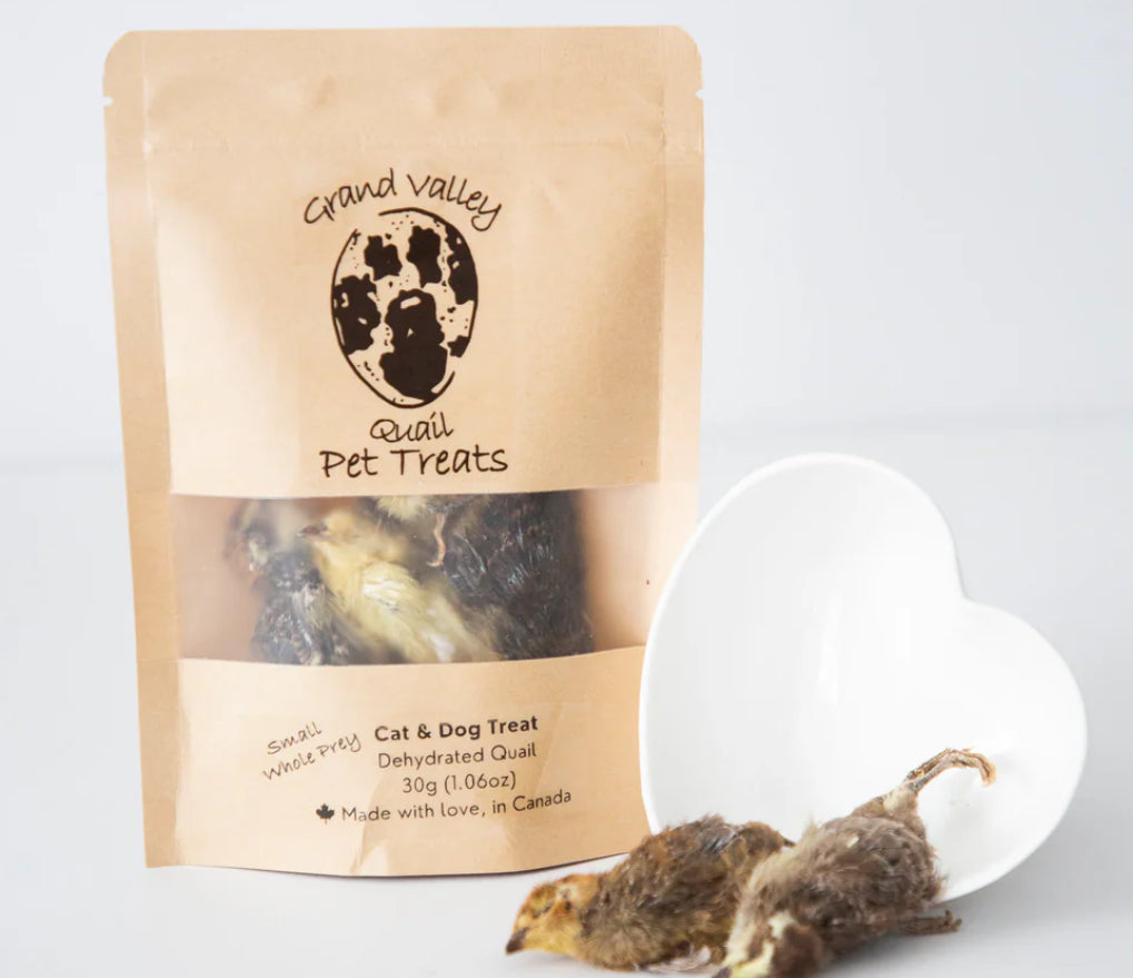 Grand Valley Dehydrated Quail Chicks 40g