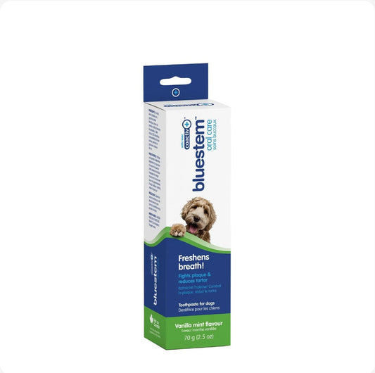 BLUESTEM Toothpaste Vanilla Mint 70G