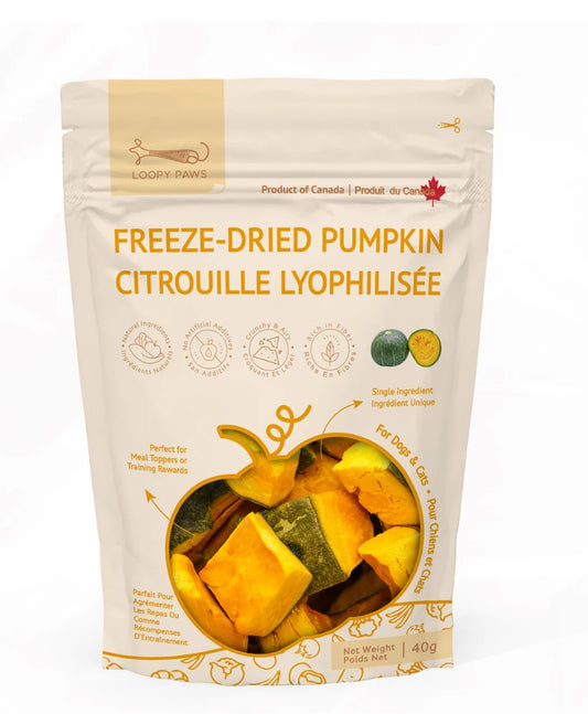 Freeze-Dried pumpkin 40G