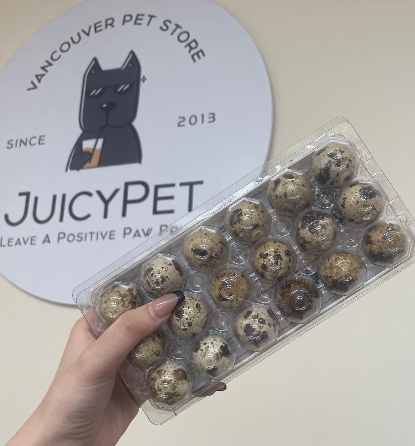 Dog bites 18 freeze dried quail eggs