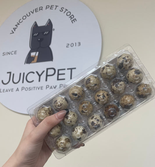 Dog bites 18 freeze dried quail eggs
