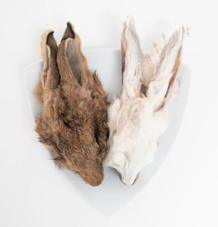 Grand Valley Dehydrated Rabbit Head 140g