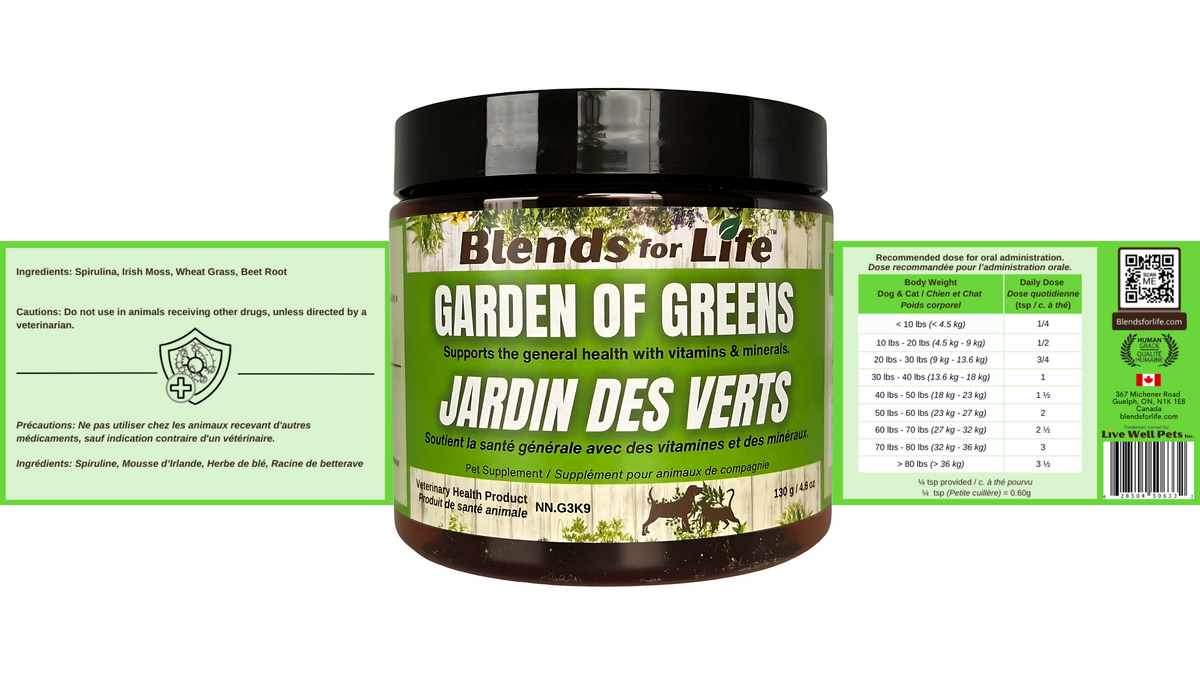 Blends for Life Garden of Greens Powder – 130 g