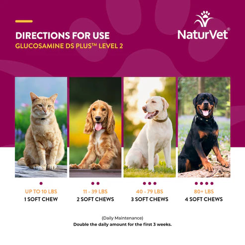 NATURVET Soft Chew Glucosamine DS Plus 70CT