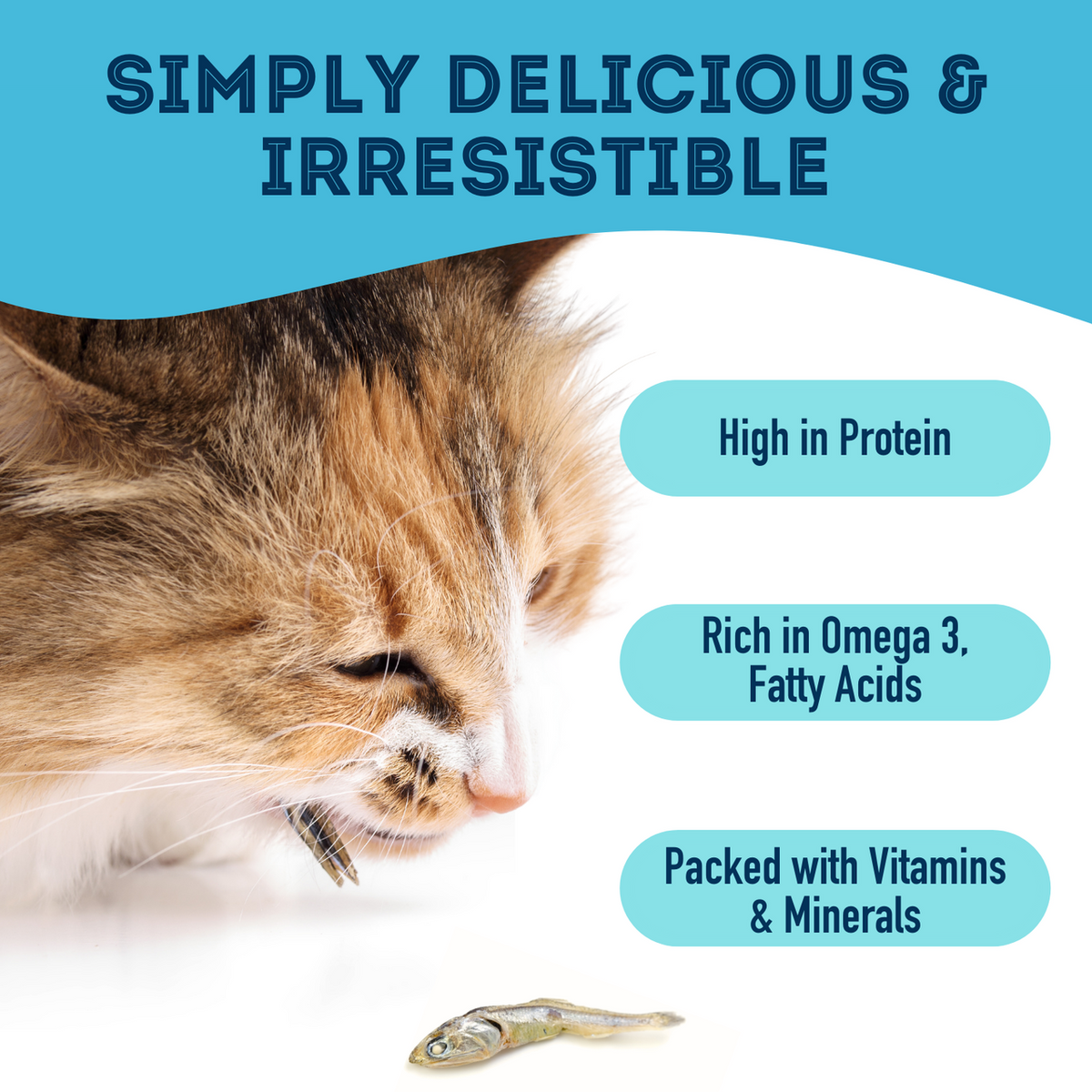 Granville Island Pet Treatery Dehydrated Sardines features