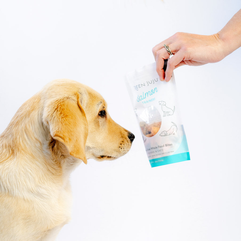 Green Juju Salmon Trainers freeze-dried treats
