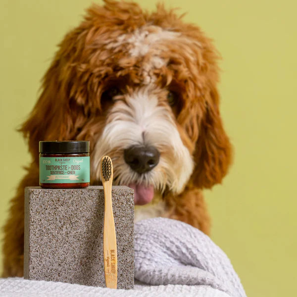 Black sheep toothpaste Dogs 2oz