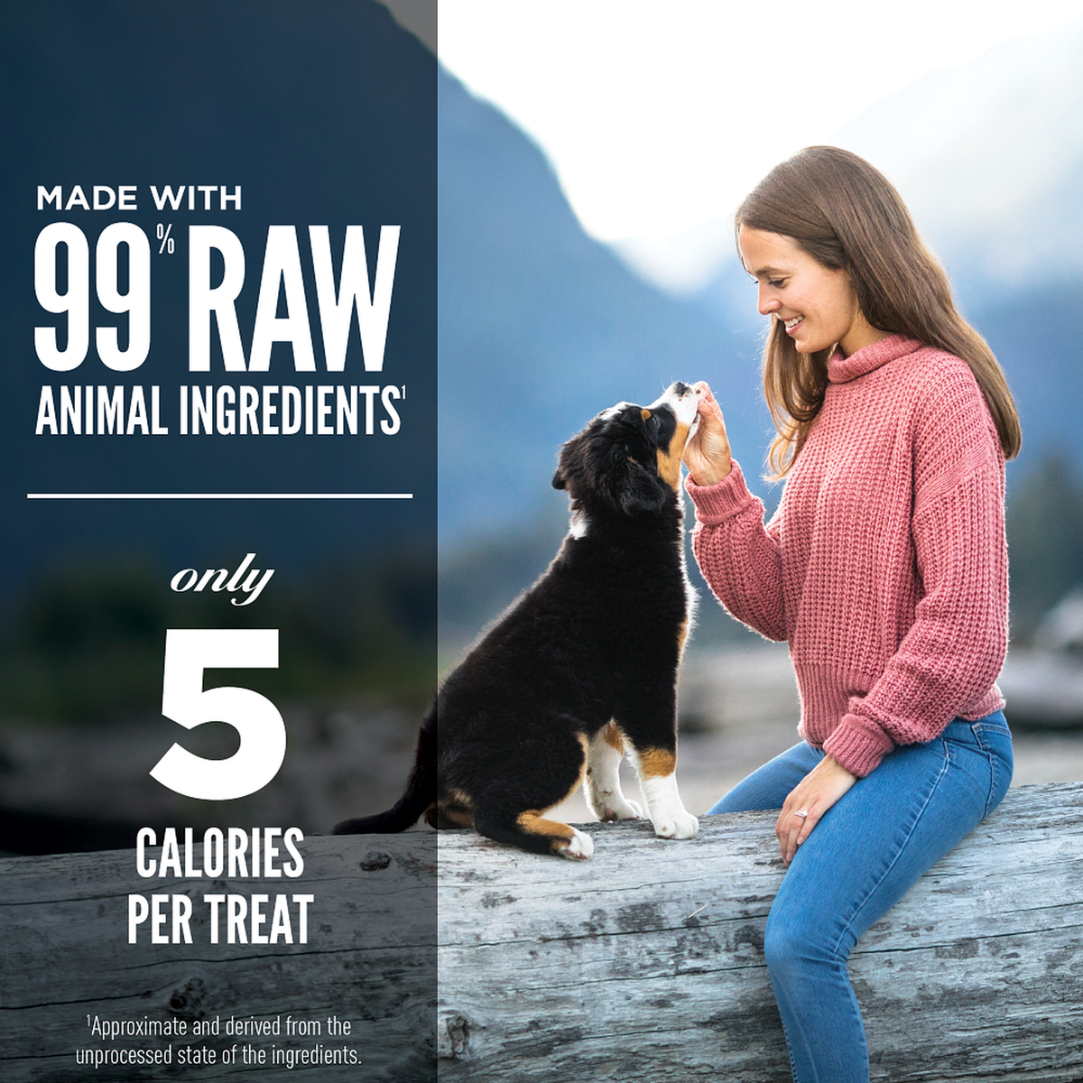 ORIJEN Original freeze-dried dog treats – 99% animal ingredients