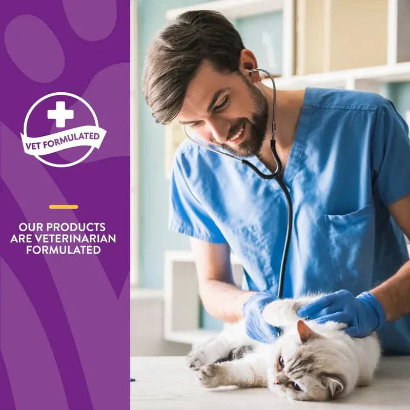 NATURVET Soft Chew VitaPet Omegas 60CT | Cat