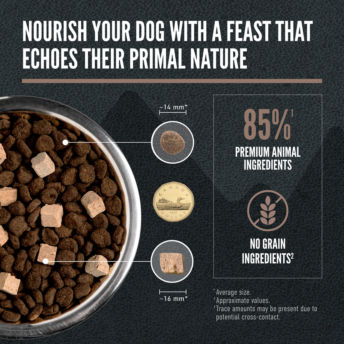 ORIJEN Wild Reserve Farm-Raised Beef & Lamb Recipe Dry Dog Food