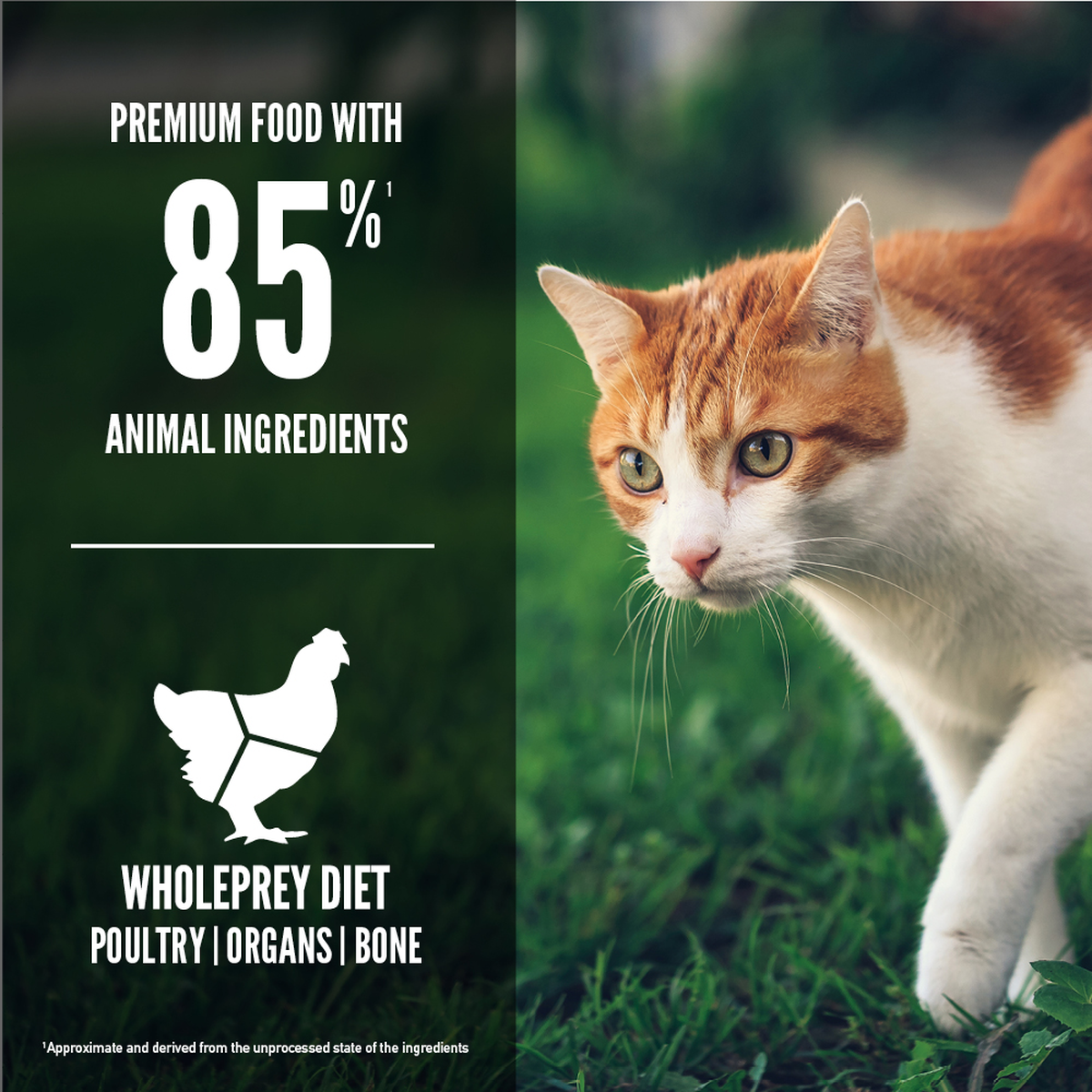 ORIJEN Fit & Trim Dry Cat Food – official product image 3
