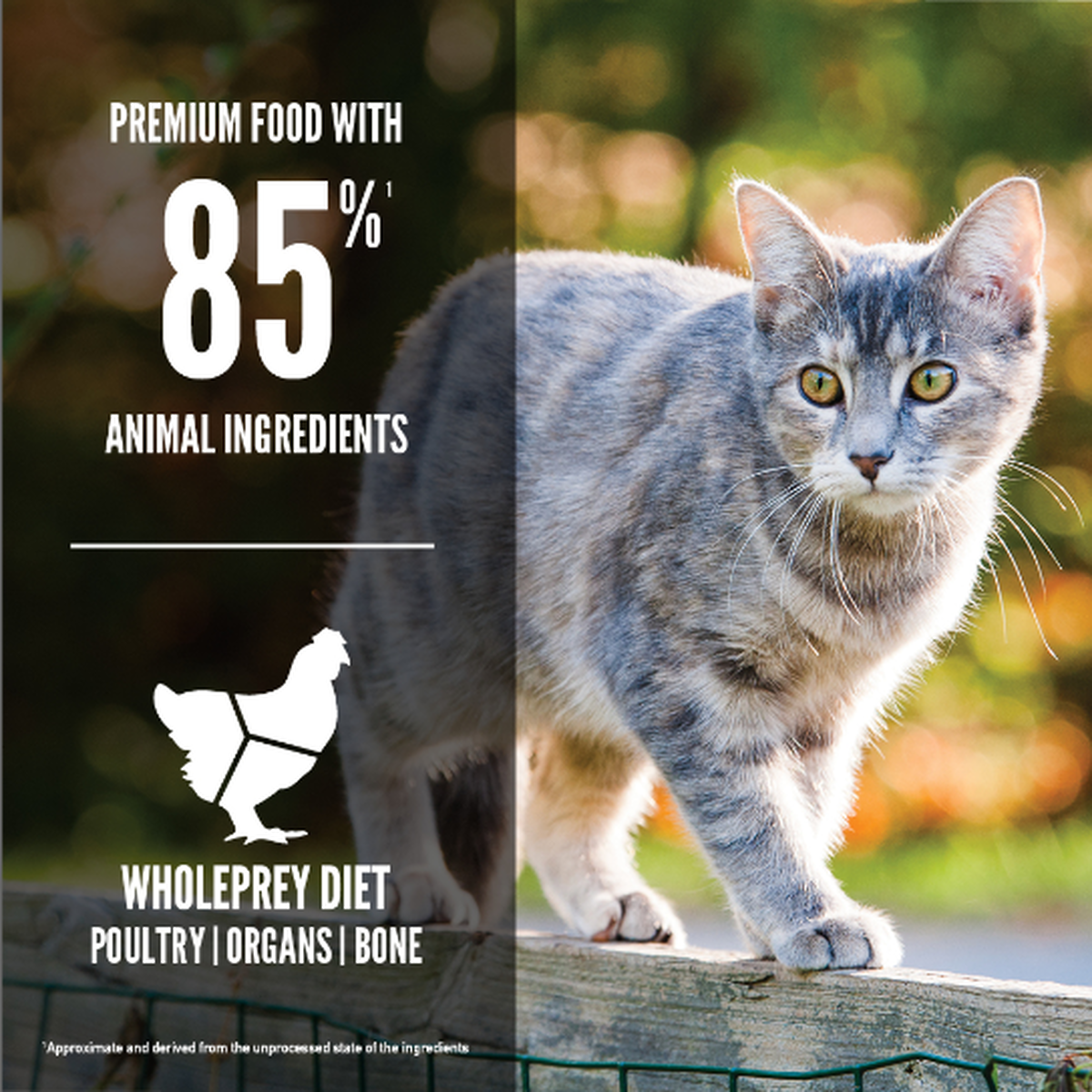 ORIJEN Original Dry Cat Food – official product image 3