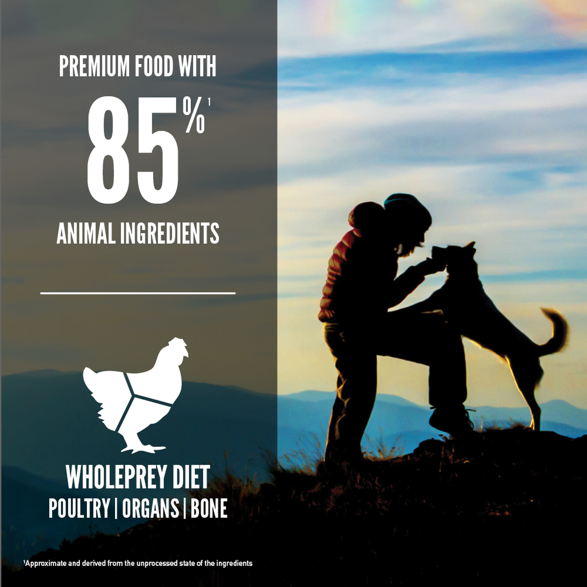 ORIJEN Original Dry Dog Food – official product image 3